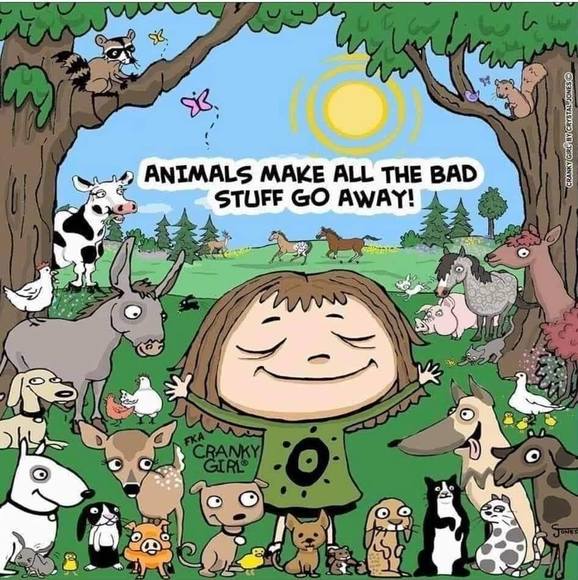 Meet your Posher, Christina - Picture 1 of 1